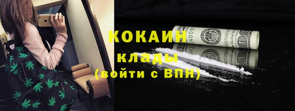 твердый Алексин