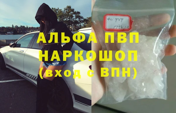 сатива Алзамай