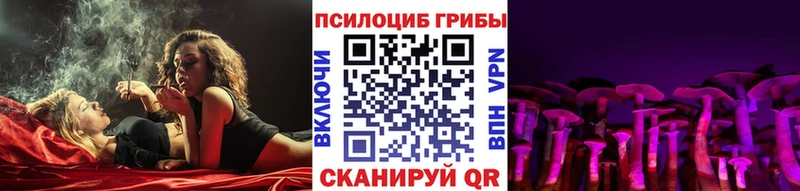 Псилоцибиновые грибы GOLDEN TEACHER  Купить закладки  Амурск 